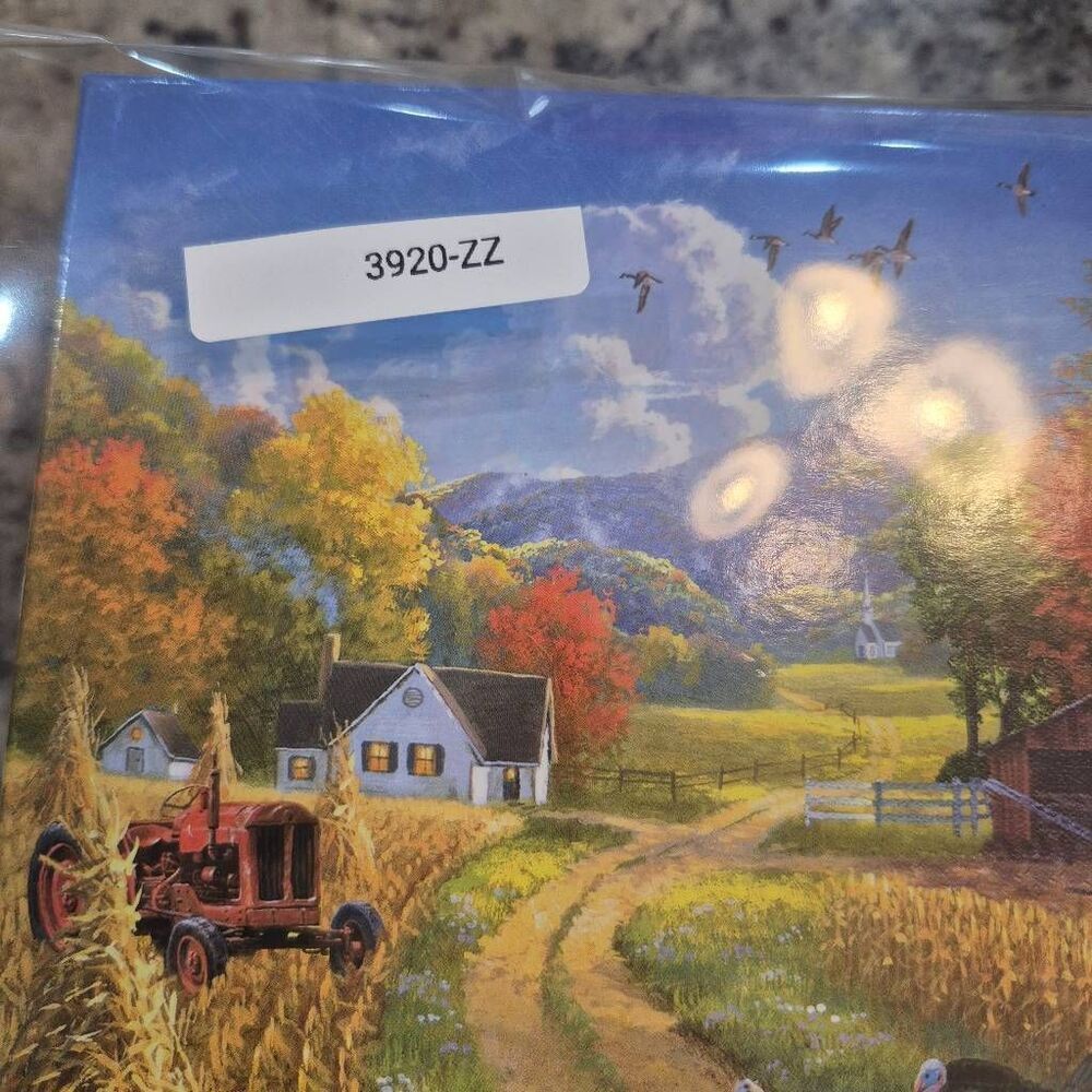 Rose Art Master Artist Collection Abraham Hunter Season to be Thankful 1000 pc J - Picture 9 of 11